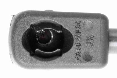 GASFEDER KOFFER-/LADERAUM VAICO V102086 1