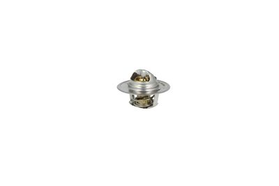 TERMOSTAT LICHID RACIRE NRF 725135 12