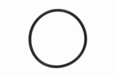 POMPA DE INALTA PRESIUNE VEMO V20250001 3