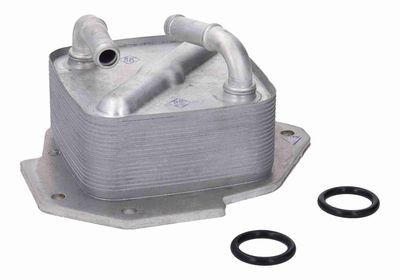 RADIATOR ULEI ULEI MOTOR