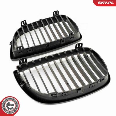 GRILA RADIATOR ESEN SKV 66SKV003 4