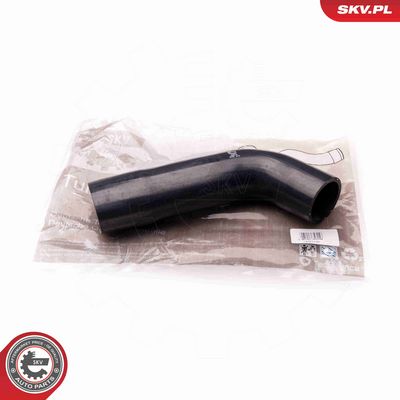 FURTUN EAR SUPRAALIMENTARE