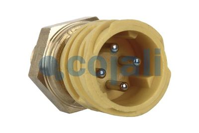 Vorschau Sensor Ansicht 2