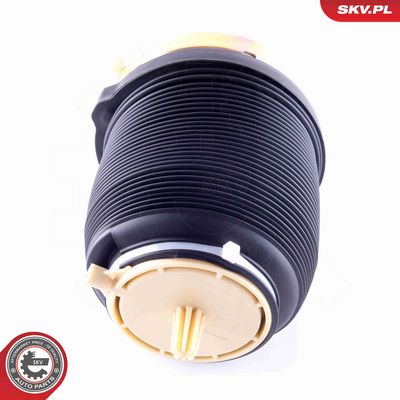 ARC PNEUMATIC DIRECTIE ESEN SKV 58SKV029 2