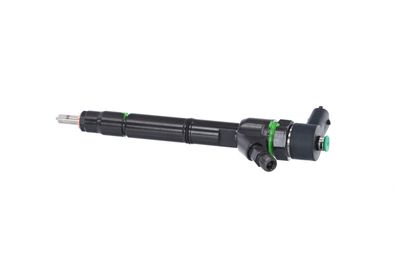 INJECTOR REMANTE 002003001691R 14