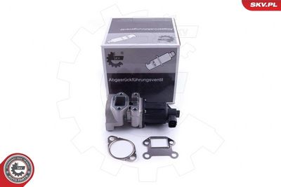 SUPAPA EGR ESEN SKV 14SKV236