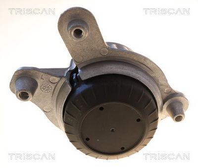 Sporstangkugle TRISCAN 8500 23117