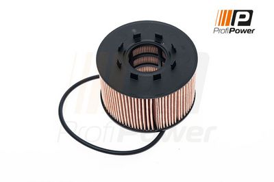 alyvos filtras 1F0046 ProfiPower