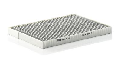 Filter, Innenraumluft