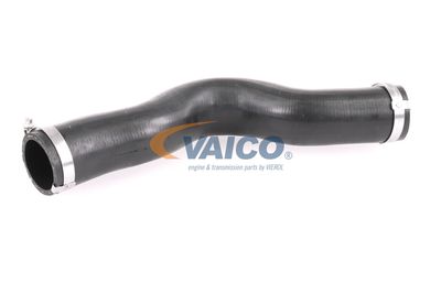FURTUN EAR SUPRAALIMENTARE VAICO V401448 58