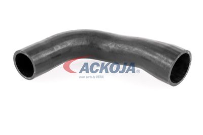 FURTUN EAR SUPRAALIMENTARE ACKOJA A389600 12