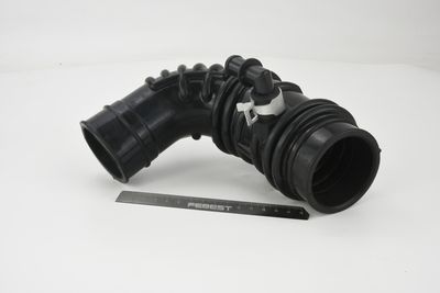 FURTUN ALIMENTARE AER FEBEST 02450001 4