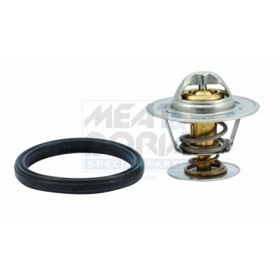 TERMOSTAT LICHID RACIRE