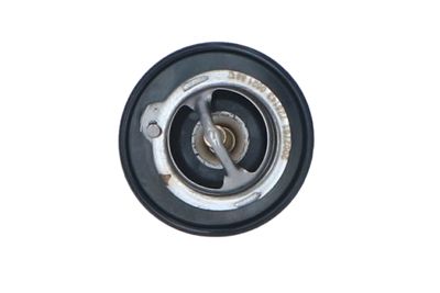 TERMOSTAT LICHID RACIRE NRF 725143 8