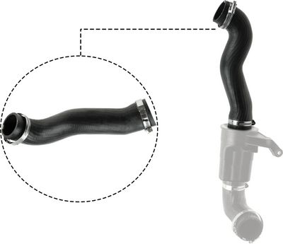 FURTUN EAR SUPRAALIMENTARE