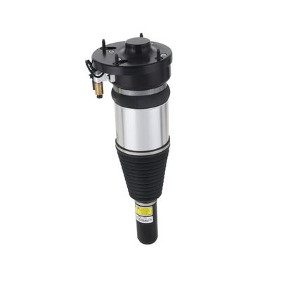 LUFTFEDERBEIN Arnott ASE3631 34