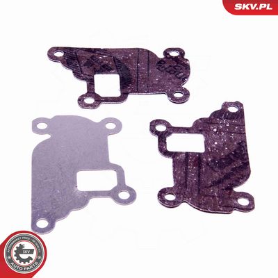 SET DE REPARAțIE SUPAPă AGR ESEN SKV 14SKV527 1