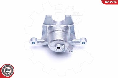 Brake Caliper 46SKV114