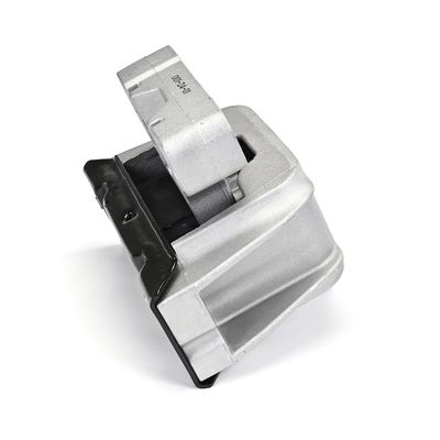 LAGERUNG MOTOR DELPHI TEM272 7