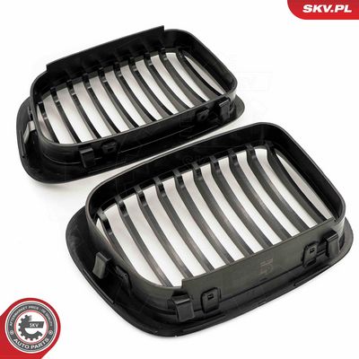 GRILA RADIATOR ESEN SKV 66SKV062 4