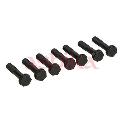 ASHIKA Schraube, Zahnkranzträger-Schwungrad