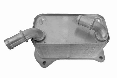 RADIATOR ULEI ULEI MOTOR VEMO V95600030
