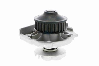 WASSERPUMPE MOTORKüHLUNG VAICO V2450002 9