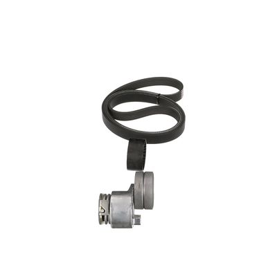 SET CUREA TRANSMISIE CU CANELURI GATES K036PK1795 43