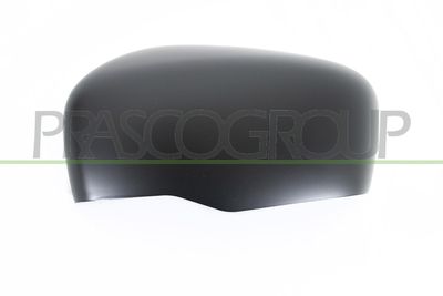 ACOPERIRE OGLINDA EXTERIOARA