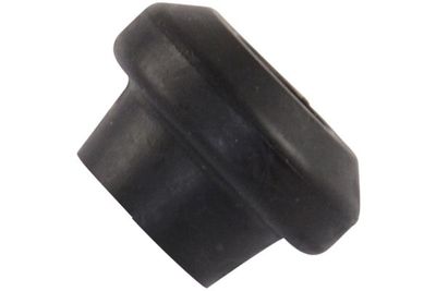 Kavo Parts Valdymo svirties/išilginių svirčių įvorė