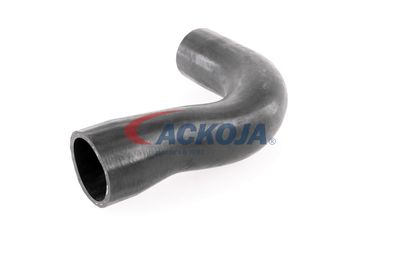 FURTUN EAR SUPRAALIMENTARE ACKOJA A389600 26