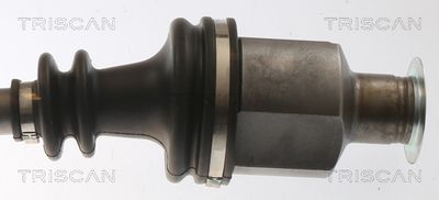 PLANETARA TRISCAN 854025714 2