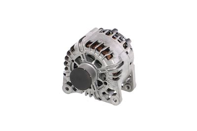 GENERATOR / ALTERNATOR REMANTE 011003000865R 65