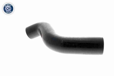 FURTUN EAR SUPRAALIMENTARE VAICO V460743 2