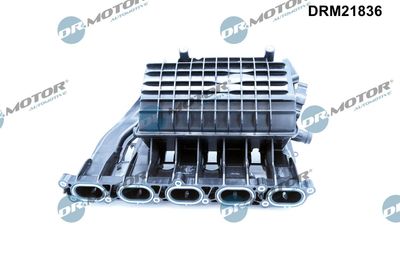 MODUL CONDUCTA ADMISIE Dr.Motor Automotive DRM21836 1