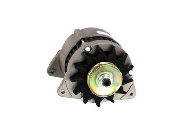 GENERATOR / ALTERNATOR REMANTE 011003000232R 54