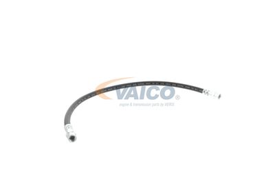 FURTUN FRANA VAICO V309926 55