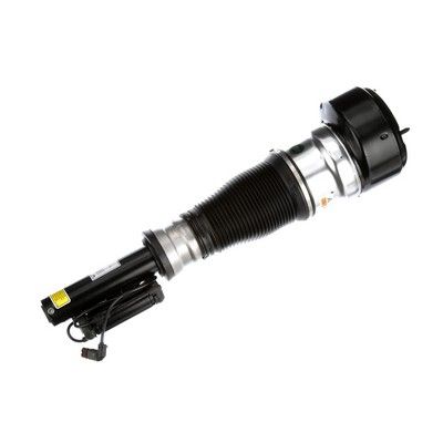 LUFTFEDERBEIN Arnott AS2540 74