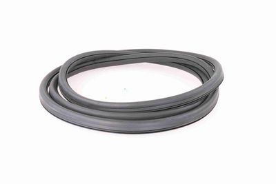 GARNITURA PARBRIZ VAICO V100086 2