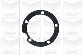 POMPă DE APă RăCIRE MOTOR GRAF PA134 1