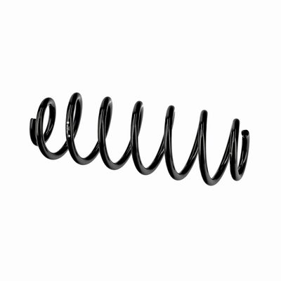 ARC SPIRAL EIBACH R10795 8