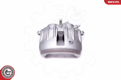 Brake Caliper 50SKV174