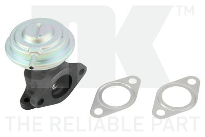 AGR-Ventil NK 4547007