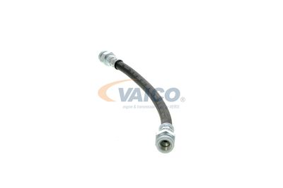 FURTUN FRANA VAICO V102309 12