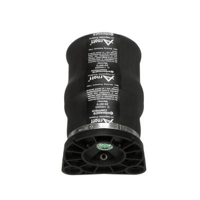 LUFTFEDER FAHRWERK Arnott A2799 60