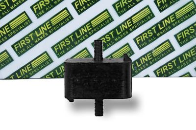 окачване, двигател FIRST LINE FEM3003