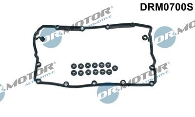 Gasket Set, cylinder head cover DRM0700S