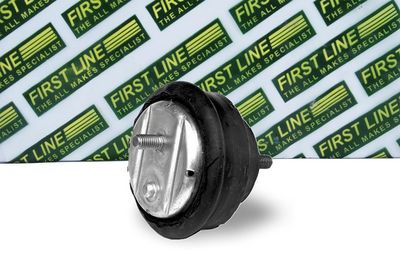окачване, двигател FIRST LINE FEM3202