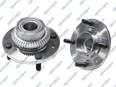 SET RULMENT ROATA GSP 9230081