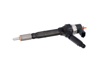 INJECTOR REMANTE 002003001191R 8